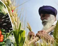 ट्रेड डील से कृषि, चावल, डेयरी उत्पाद सुरक्षित:  इन सेक्टर में खुले बाजार, जानें अमेरिका के साथ व्यापार से जुड़ी अहम बातें
