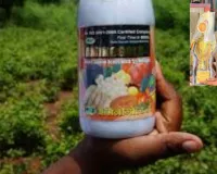 वाराणसी में महिला पहलवान ने कीटनाशक खाकर दी जान:  आत्महत्या के कारणों का खुलासा नहीं, मामले की जांच जारी