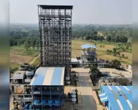 UP: अमेरिका के आयात शुल्क घटाने से खिलेगा रामपुर का मेंथा कारोबार