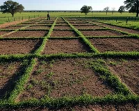 Bareilly: मृत व्यक्ति को कागजों में जीवित दिखाकर हथिया ली सीलिंग भूमि