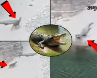 Uttrakhand:  मगरमच्छ ने हिरण को पल भर में बनाया निवाला 