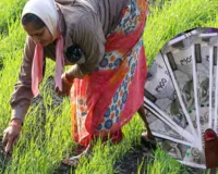 योगी सरकार का बड़ा फैसला : फसल बीमा योजना के लिए 71.44 करोड़ मंजूर, किसानों को मिलेगी राहत 