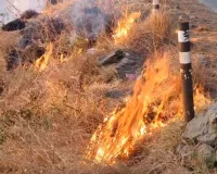 Uttrakhand: शैल बैंड और कालीमठ से सटे जंगल में धधकी आग, फायर सर्विस ने किया काबू 
