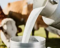 UP की महिलाओं ने रचा इतिहास : 5000 करोड़ का किया दूध कारोबार, 6 हजार गांवों में फैला नेटवर्क