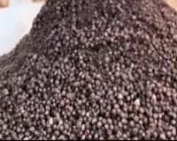 बाराबंकी : समिति पर डीएपी खाद महंगे दाम पर बेचने का आरोप, जांच की मांग