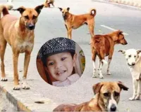 Bareilly : खूंखार कुत्तों ने चार साल के मासूम को नोच कर मार डाला