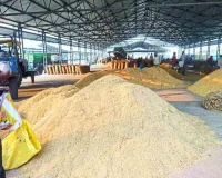 Bareilly: फरीदपुर में 13 एकड़ में बनेगी उप मंडी, शासन को भेजा प्रस्ताव