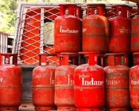 Bareilly : जिले में एलपीजी और तेल पर्याप्त मात्रा में अफवाहों से बचने की सलाह