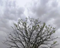 Moradabad: शाम को उमड़े काले बादल, बारिश की उम्मीद जगी, गर्मी से परेशान लोगों को राहत 