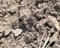 UP: सिर का कंकाल मिलने के बाद सूखे तालाब में बोरी में भरी मिलीं हड्डियां