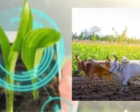 डिजिटल कृषि की ओर तेजी से बढ़ रहा यूपी... 1,08,935 राजस्व गांवों में से 95,765 का भू-संदर्भीकरण पूरा