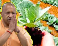 उत्तर प्रदेश में कृषि शिक्षा को नई उड़ान: 23.36 करोड़ रुपये मंजूर, शोध और नवाचार को मिलेगा बड़ा बूस्ट