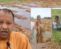 फसलों के नुकसान का त्वरित आकलन कर मुआवजा दें, सीएम योगी ने अधिकारियों को दिए सख्त निर्देश