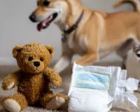 घरेलू चीजें बन सकती हैं जानलेवा: टेडी बियर से लेकर पालतू जानवरों तक से बढ़ता है एलर्जी का खतरा! केजीएमयू एक्सपर्ट की चेतावनी