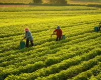 यूपी में पीएम किसान योजना ने बनाया धमाकेदार रिकॉर्ड: 1.70 करोड़ किसानों ने कराया फार्मर रजिस्ट्री, टॉप पर रामपुर 