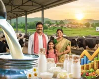 यूपी के डेयरी उत्पादों का ग्लोबल धमाल: 10.16% ग्रोथ के साथ निर्यात 489 करोड़ पहुंचा, पशुपालकों की आय में आई तेजी