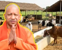 ‘नन्दिनी कृषक समृद्धि योजना’ से डेयरी सेक्टर में नई क्रांतिः ऋण-अनुदान प्रक्रिया में तेजी, तीन वर्ष में 204 डेयरी का लक्ष्य