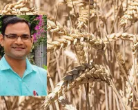 फंक्शनल फूड्स की ताकत से कई रोगों पर लगाम! LU के दो प्रोफेसर्स की वैश्विक किताब प्रकाशित, नैनो टेक्नोलॉजी से खाद्य सुरक्षा में नई क्रांति