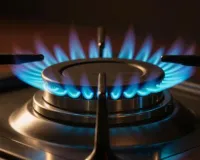 LPG History in India: जानें भारत में पहली बार LPG गैस का इस्तेमाल कब हुआ