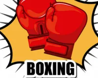 जिला स्तरीय जूनियर बॉक्सिंग में खिलाड़ियों का दमदार प्रदर्शन, इन्होंने ने जीता गोल्ड