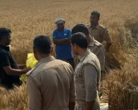 Deoria News: खेत में मिला युवक का शव, हत्या की जताई जा रही आशंका 