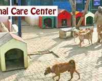 भरवारा में बना रहा पहला एनिमल केयर सेंटर, ऑपरेशन थियेटर के साथ डॉक्टरों के बैठने के लिए रहेगी जगह