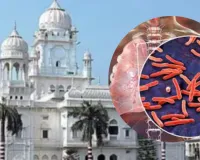 केजीएमयू में टीबी के बाद भी मुफ्त मिलेगा फेफड़ों का इलाज, पोस्ट टीबी मरीजों के लिए विशेष क्लीनिक की शुरुआत