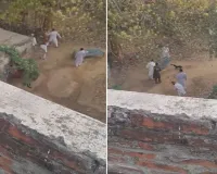 UP: कब्रिस्तान में कुत्ते को पीट-पीटकर मार डाला, वीडियो वायरल हुआ तो पांच पर FIR