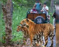 UP: मुस्तफाबाद पर्यटन गेट की बादशाहत कायम, चार माह में 16716 सैलानी