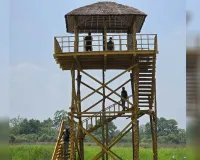 UP: होली पर पीटीआर में रहा अलर्ट...शिकारियों पर रखी गई पैनी नजर