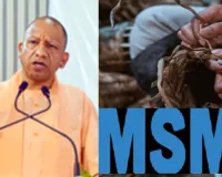   MSME में यूपी अव्वल ...  96 लाख इकाइयों से Employment का नया रिकॉर्ड, गांव-गांव तक पहुंचा स्वरोजगार