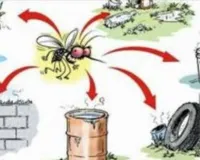  यूपी में संचारी रोग नियंत्रण अभियान: मुख्य सचिव ने समीक्षा बैठक कर दिए निर्देश, सभी जिलों में करें माइक्रो प्लान तैयार 