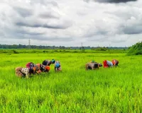  यूपी में खेती किसानी को मिलेगी नई रफ़्तार: कृषि क्षेत्र के लिए 31.43 करोड़ की वित्तीय स्वीकृति 