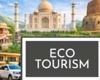   यूपी में इको-टूरिज्म को मिलेगा बढ़ावा: मैनपुरी-इटावा में बनेगा 'सारस सर्किट', पर्यटन सुविधाओं का भी विस्तार