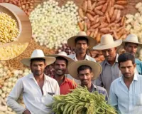 ‘यूपी मिलेट्स पुनरोद्धार कार्यक्रम’ से आत्मनिर्भर हो रहे किसान,  कृषि योजनाओं में तेजी, 4.32 लाख करोड़ से अधिक धनराशि खर्च 