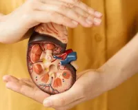  विश्व किडनी दिवस आज: प्लास्टिक, प्रदूषण और जलवायु परिवर्तन बढ़ा रहा किडनी रोग, विशेषज्ञों से जाने बचाव के तरीके 