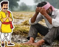  फसल नुकसान की अब नो टेंशन!  जानकारी देंगें जिलों में तैनात सीएम योगी के अधिकारी, टोल फ्री नंबर हुआ जारी 