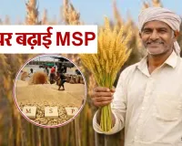 योगी सरकार ने किसानों को दी बड़ी राहत,  गेहूं खरीद पर बढ़ायी MSP, सोलर सिटी और कोल ब्लॉक खरीद को मंजूरी