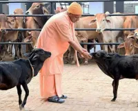  यूपी में CCTV कैमरों से गो-आश्रय स्थलों में निगरानी: पारदर्शिता और सुरक्षा पर जोर, प्रशासनिक जवाबदेही भी मजबूत