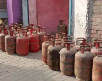   सील गोदाम में मिला घरेलू सिलेंडरों का जखीरा : छापेमारी के दौरान मिले 44 सिलेंडर, गोदाम स्वामी के खिलाफ जांच 