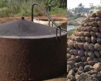 गोबरधन योजना से गांवों में समृद्धि, पंचायतों की आय 28 लाख पार: बायोगैस से चल रहीं चक्कियां और मशीनें, 74 जिलों में 116 संयंत्र बने