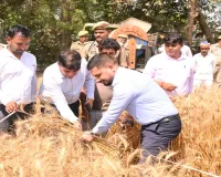बाराबंकी : खेत में उतरे डीएम, गेहूं काटकर फसल उपज का लिया जायजा, किसानों का बढ़ाया हौसला