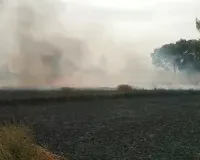 बाराबंकी : पछुआ हवा संग भड़की आग में 50 बीघा फसल राख, देर से पहुंची दमकल, ग्रामीणों ने पाया काबू  