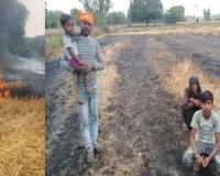 बाराबंकी : शार्ट सर्किट से लगी आग, 11 बीघा फसल जलकर राख