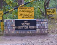 कॉर्बेट में ऑनलाइन ठगी : सफारी और नाइट-स्टे का झांसा देकर पर्यटकों से ठगी