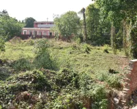 Bareilly : सिस्टम सोता रहा, बेटियों के मैदान पर कब्जा होता रहा