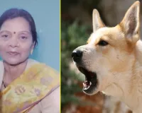 Bareilly : कुत्तों ने दौड़ाया, बाइक से गिरकर रिटायर्ड शिक्षिका की मौत