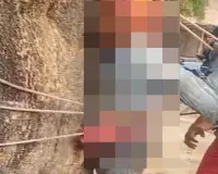 बाराबंकी : गेहूं चोरी के आरोप में पेड़ से बांधकर युवक की पिटाई