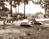 सामयिकी : गांव के युवाओं में हुनर है, मगर बाज़ार नहीं