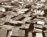 शहरी विकास के बीच स्लम बस्ती की हकीकत